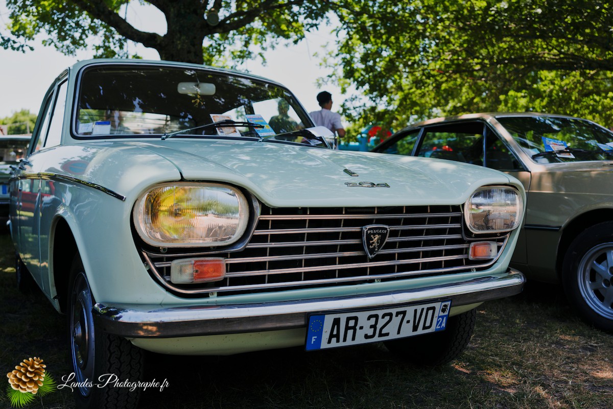 🚗  Les 10 ans du Club Loun Rétro : Patrimoine Roulant au Bord du Lac de Léon